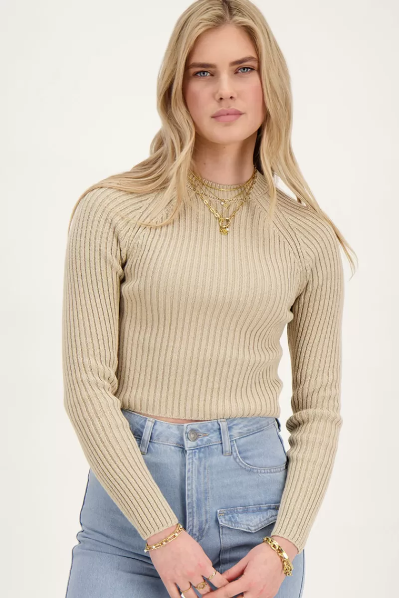 My Jewellery Crop Top Beige En Maille