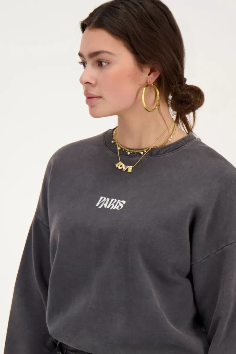 My Jewellery Sweat Paris Fleuri